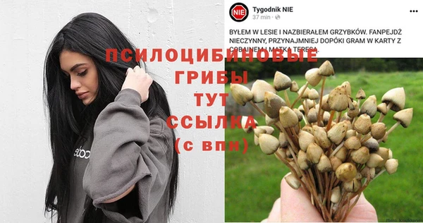 героин Инта